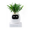 Inteligentní květináč PLANTSIO IVY gen 2 bílý