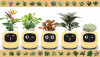 Inteligentní květináč PLANTSIO IVY žlutý