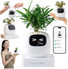 Inteligentní květináč PLANTSIO IVY gen 2 bílý