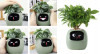 Inteligentní květináč PLANTSIO IVY zelený