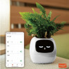 Inteligentní květináč PLANTSIO IVY bílý