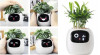Inteligentní květináč PLANTSIO IVY bílý