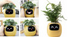 Inteligentní květináč PLANTSIO IVY žlutý