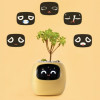 Inteligentní květináč PLANTSIO IVY žlutý