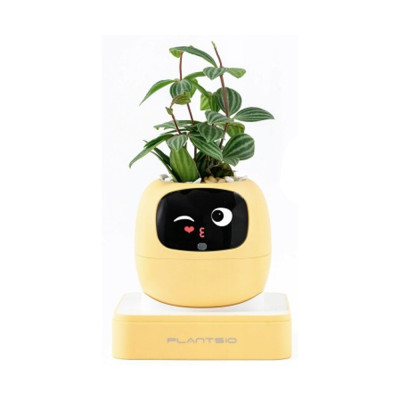 Inteligentní květináč PLANTSIO IVY gen 2 žlutý