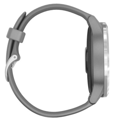 Garmin vívoactive4 Silver/Gray Band