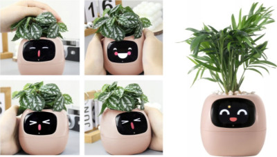 Inteligentní květináč PLANTSIO IVY růžový